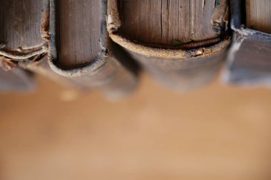 Eski kitaplar. Eğitim geçmişi. Eski Kütüphane rafı.