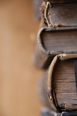 Kütüphanedeki rafta antika kitaplar var. Eğitim geçmişi.