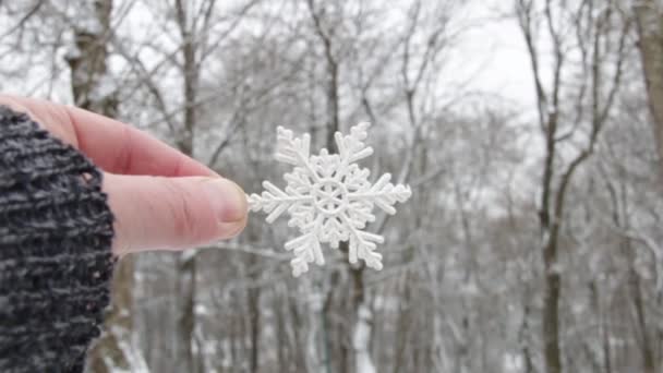Hand holds a snowflake on the background of winter park — Stock Video