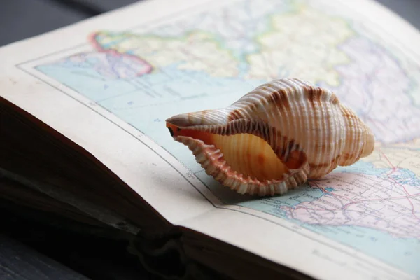 Летние каникулы на море концепции. Карта и ракушка. — стоковое фото