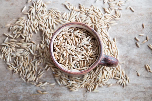 Oat grain — Stock Photo, Image