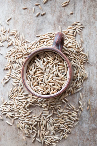 Oat grain — Stock Photo, Image