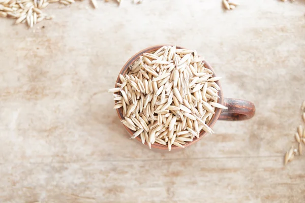 Oat grain — Stock Photo, Image