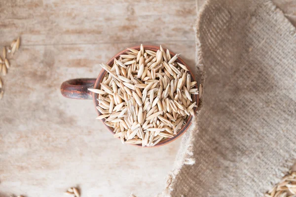 Oat grain — Stock Photo, Image