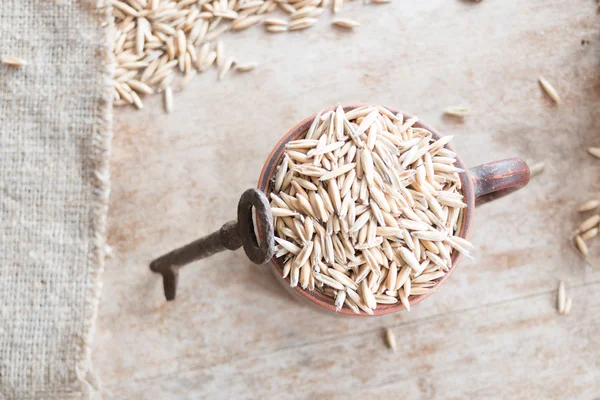 Oat grain — Stock Photo, Image