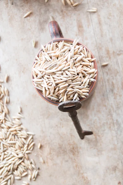 Oat grain — Stock Photo, Image