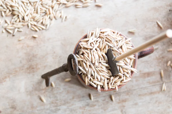 Harvesting and storage — Stock Photo, Image