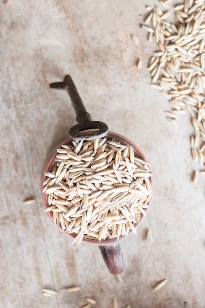 Oat grain — Stock Photo, Image