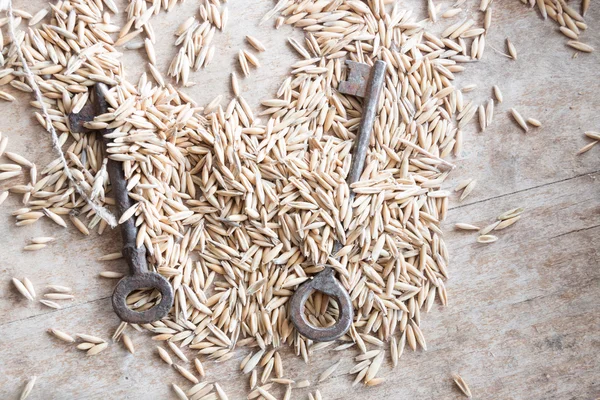 Grain storage — Stock Photo, Image