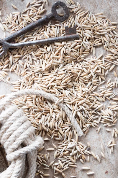 Grain storage — Stock Photo, Image