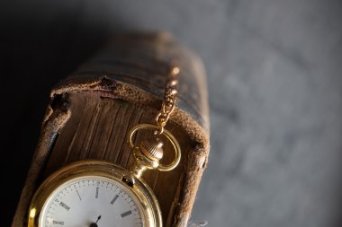 Vintage cep saati eski kitabı