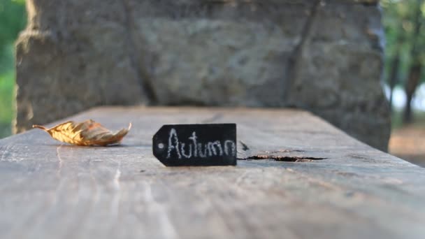 秋の概念 — ストック動画