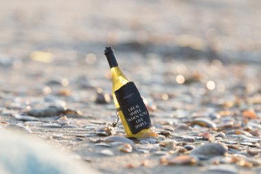 Zaman kavramı sadece canlı hayat basittir