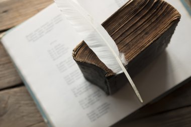 Eğitim veya şiir fikir