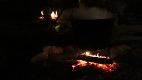 Koken in een pot op het vuur — Stockvideo