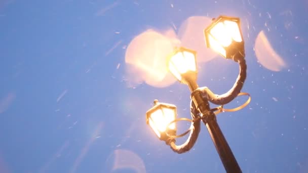 Vintage lampposts and falling snow. — Stock Video