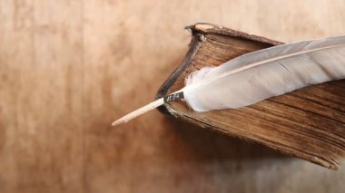 word fikir, tüy ve eski kitap