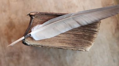 word fikir, tüy ve eski kitap