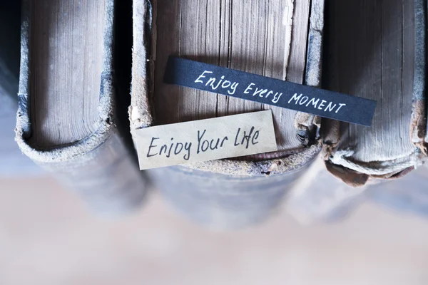 Enjoy every moment and Enjoy your life text