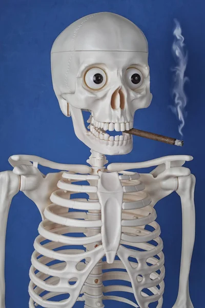 Esqueleto Humano Artificial Con Cigarro Boca Sobre Fondo Azul Concepto —  Fotos de Stock