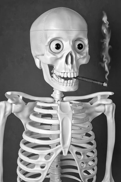 Esqueleto Humano Artificial Con Puro Boca Concepto Daño Por Fumar —  Fotos de Stock