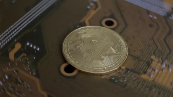 Bitcoin Oro Una Placa Base Ordenador Gira Sobre Eje — Vídeos de Stock