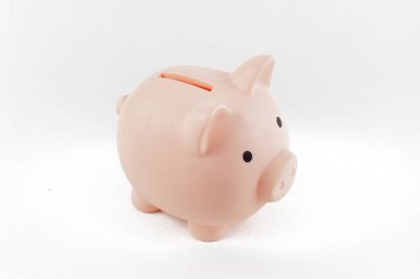 Pembe domuzcuk, beyaz arka planda izole edilmiş, yakın plan. 