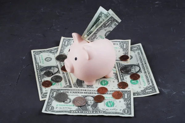 Piggy Bank Pig Stands One Dollar Bills Spread Concrete Floor — Stock Photo, Image