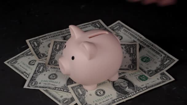 Man Throws Change Piggy Bank Pig Stands Concrete Floor Covered — Stock Video