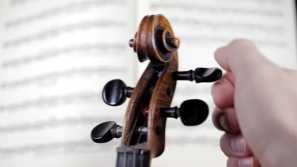 Violinista Sintoniza Violín Contexto Notas Abiertas Fuera Foco Primer Plano — Vídeo de stock