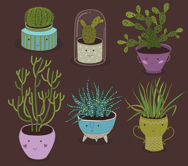 Cactus et plantes succulentes qui poussent dans des pots mignons — Image vectorielle