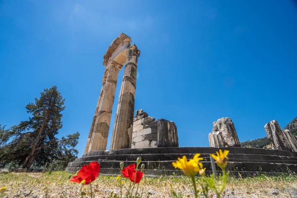 Delphi Tholos 'u Athena Pronaia' nın Fokida, Grecce 'deki Delphi arkeolojik sahasında yer almaktadır.