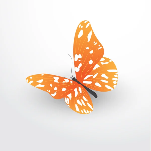 Butterfly web flat icon — Stock Vector