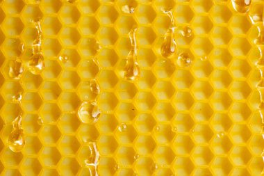 Makro fotoğraf damlaları sarı balmumu üzerine akan bal damlaları, doku arka planı