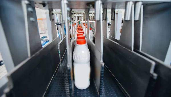 Industria láctea, transportador automático para el transporte de botellas de leche —  Fotos de Stock