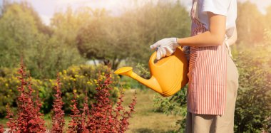 Banner profesyonel bahçıvanı bahçedeki çitleri sulıyor, yaz güneşi