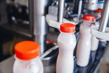 Mandıra üretimi, otomatik taşıma hattında bir şişe yoğurt, süt doldurma ve paketleme süreci