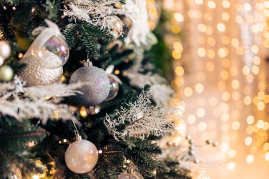 Arka planda bokeh ışığı, ton rengi olan Noel yeşil çam ağacı