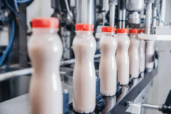 Dairy production, bottle of yoghurt on automated conveyor line, process of milk filling and packaging