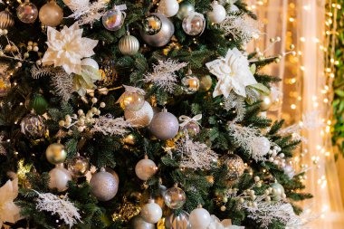 Arka planda güneş ışığı olan Noel yeşil çam ağacı