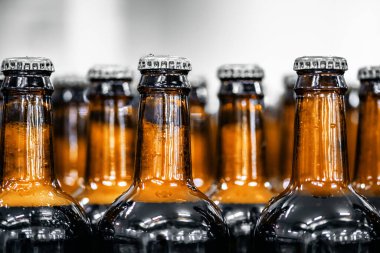 Bira şişeleri taşıyıcı üretim hattında. Bira fabrikası gıda fabrikası.
