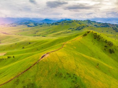 ATV binicisi yazın ormandan off-road 'a gider.