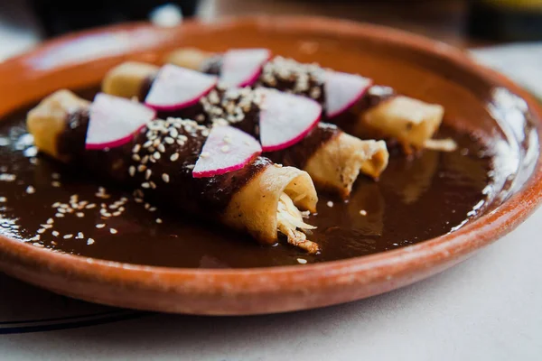 Mexikanska Kyckling Enchilada Med Traditionell Mole Poblano Mexikanska Köket Mexiko — Stockfoto