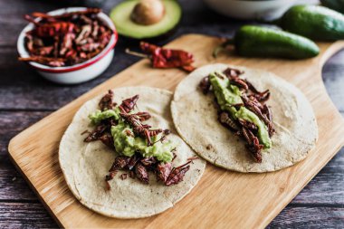 Meksika yemeklerinde geleneksel tako ya da çekirge taco Oaxaca Meksika 'da ev yapımı guacamole sosu.