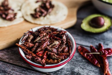 Çekirge ya da Chapuline atıştırmalığı. Geleneksel Meksika yemekleri Oaxaca Meksika 'dan