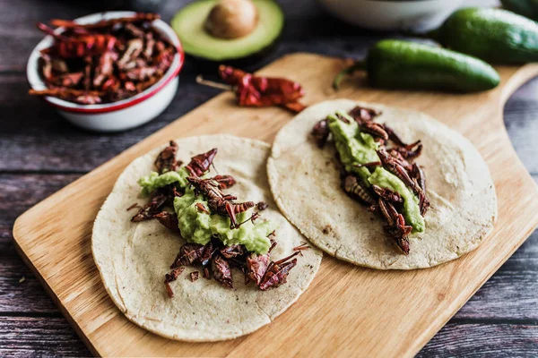 Tacos Chapulines Atau Grasshopper Taco Tradisional Dalam Makanan Meksiko Dengan — Stok Foto