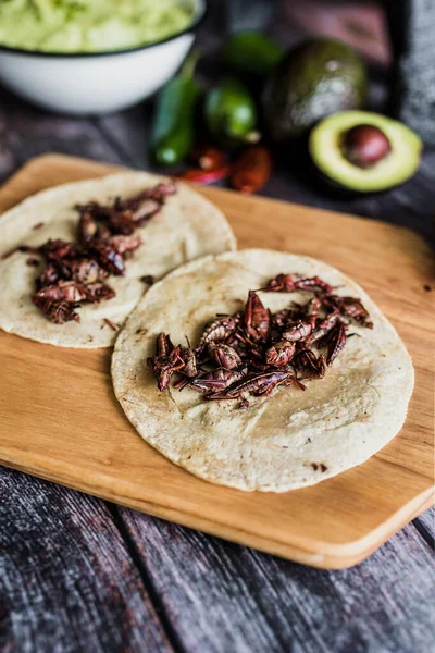 Tacos Chapulines Tacos Saltamontes Tradicionales Comida Mexicana Con Salsa Casera — Foto de Stock