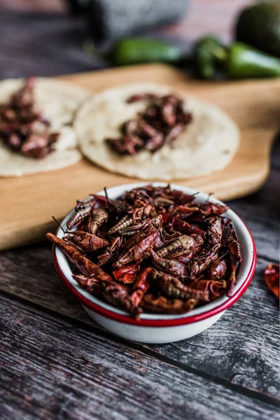 Saltamontes Chapulines Snack Comida Tradicional Mexicana Oaxaca México —  Fotos de Stock