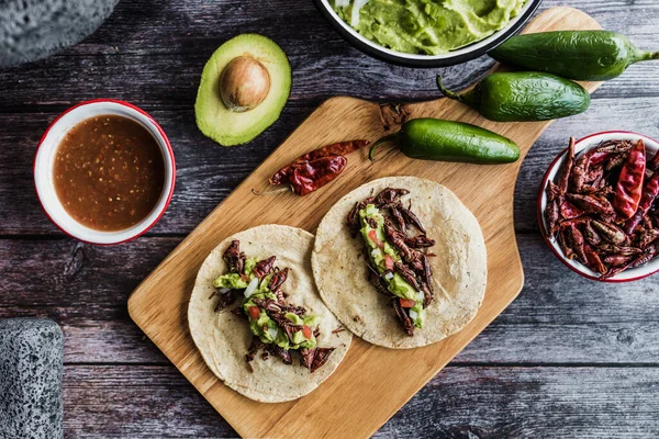 Tacos Chapulines Ακρίδα Taco Παραδοσιακό Μεξικάνικο Φαγητό Σπιτική Σάλτσα Guacamole — Φωτογραφία Αρχείου