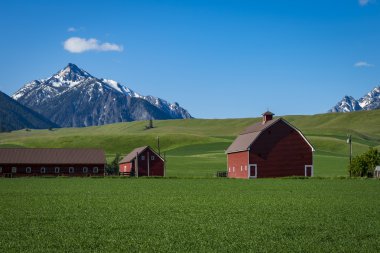 Red barn in Oregon clipart